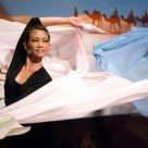 Silk Dance